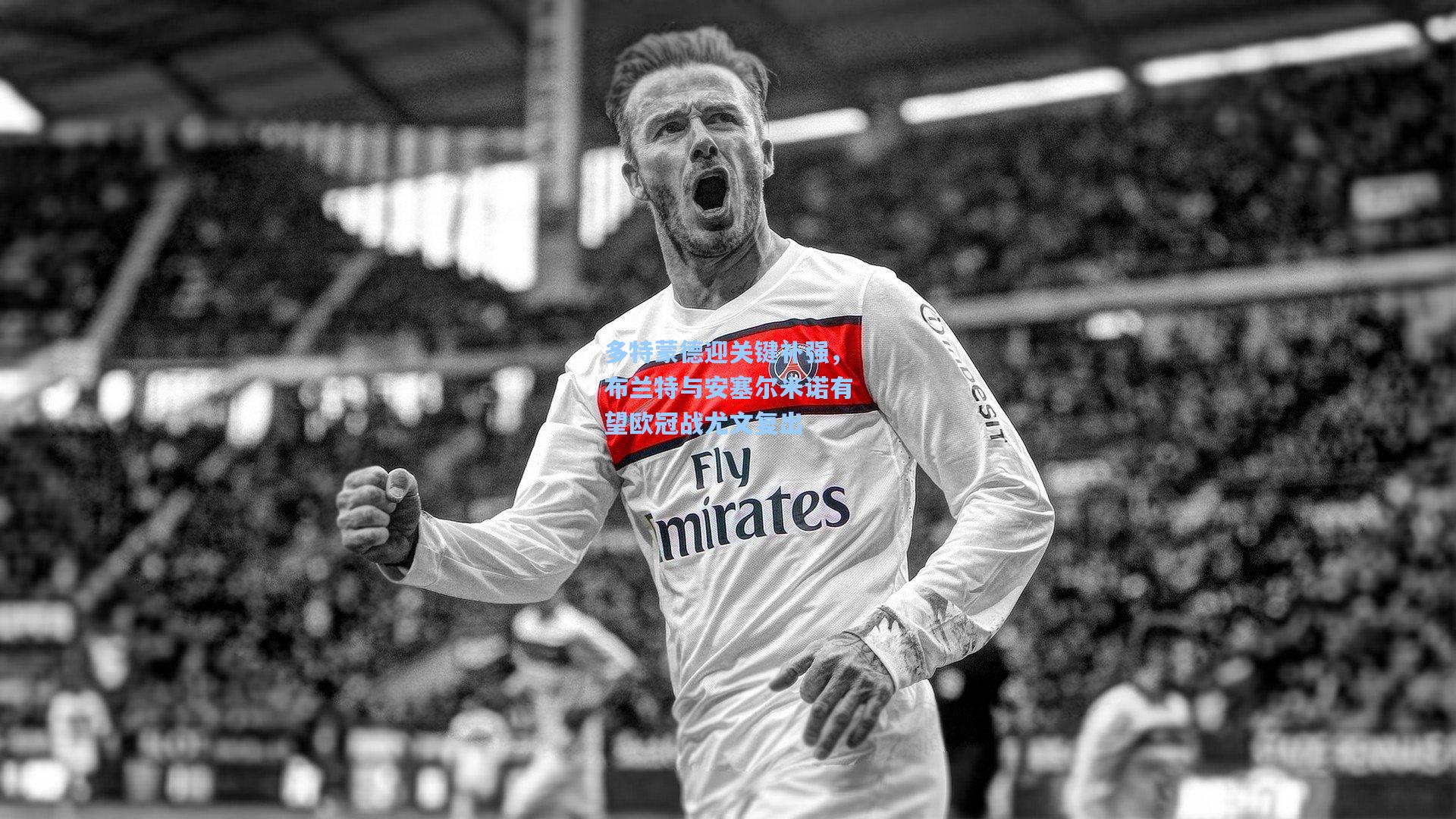 多特蒙德迎关键补强，布兰特与安塞尔米诺有望欧冠战尤文复出